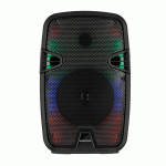Bafle RadioShack TWS 8" 2000W Negro