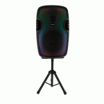 Bafle RadioShack Tripié 15F22 15" 2400W Negro