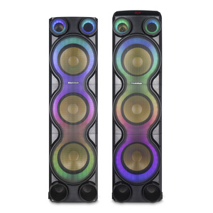 Bafle RadioShack RS Rave 10 pulg. 200W 2 piezas